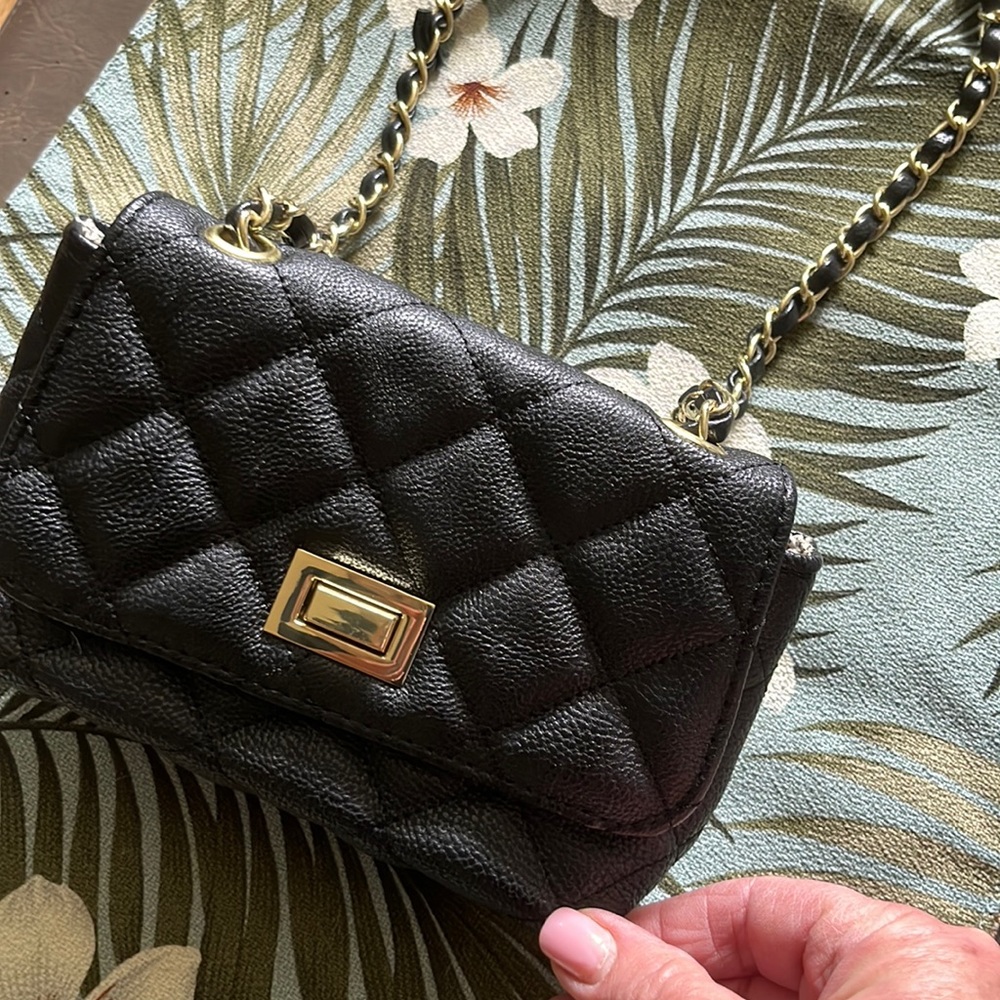 STEVE MADDEN MINI BAG